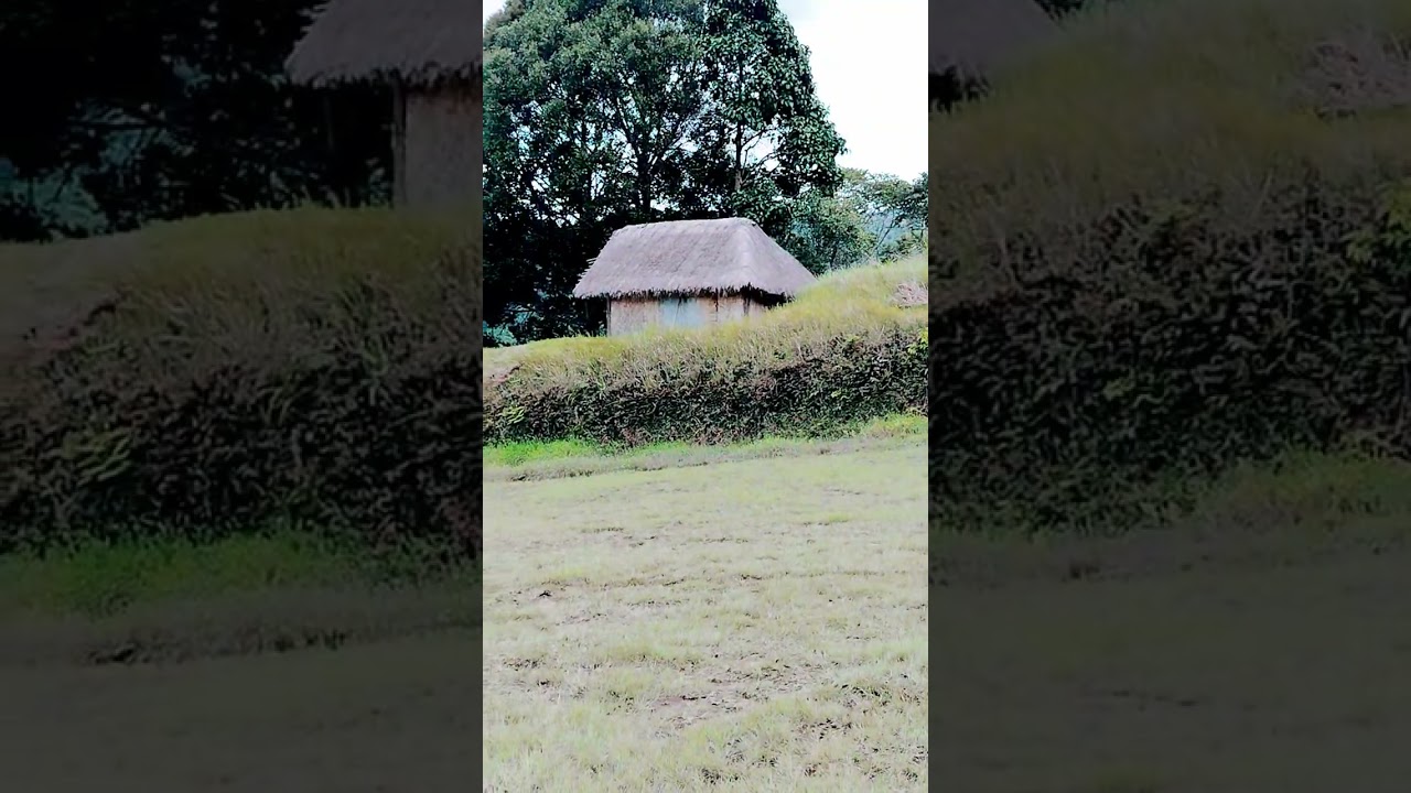 Maimafu Airstrip #bushflying #fypシ゚viral #bushlife #remote #remoteliving