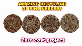 You can make coasters, trivets or placemats with pine needles! No cost project!