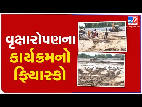 Rainfall washes off AMC's plan of tree plantation at Gota, Ahmedabad | TV9News