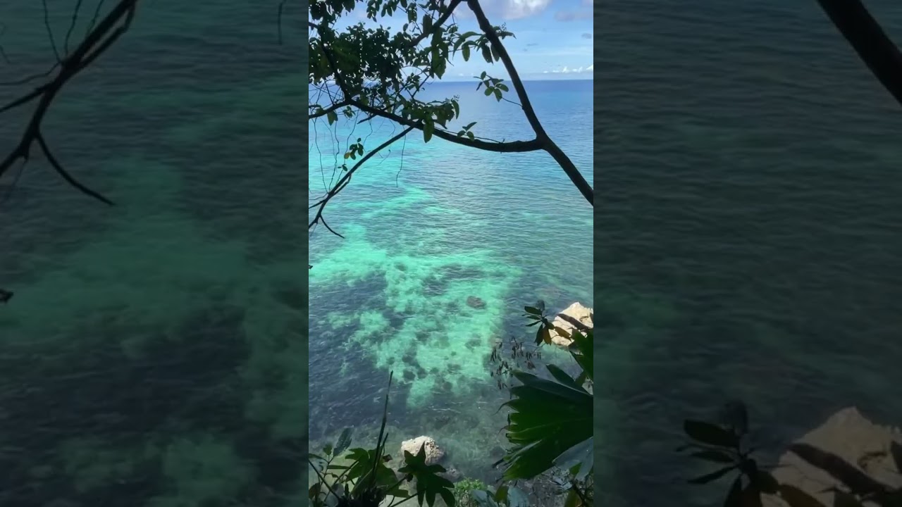 The Caribbean Costa of Costa Rica 🇨🇷