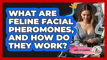 What Are Feline Facial Pheromones, And How Do They Work? - Happy Cat Handbook