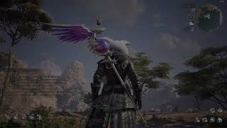 Mage Bashal Damage Test 041 Bless Unleashed Jp