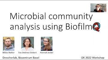 BiofilmQ image analysis workshop at I2K 2022
