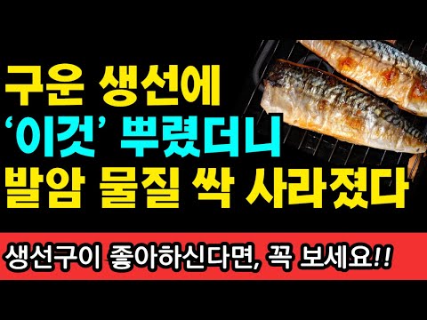 생선에 &amp;#39;이것&amp;#39; 뿌렸더니, 암 일으키고 노화촉진하는 독소 싹 사라졌다 I 과학적으로 검증된 항암식품 50가지 I 니시노 호요쿠 I 암이 사라지는 식사 I 암 억제 <strong>식품사전</strong>