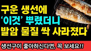 구운 생선에 '이것' 뿌렸더니, 암 일으키고 노화촉진하는 독소 싹 사라졌다 I 과학적으로 검증된 항암식품 50가지 I 니시노 호요쿠 I 암이 사라지는 식사 I 암 억제 식품사전