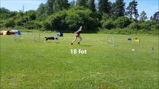 distance grid pass 4