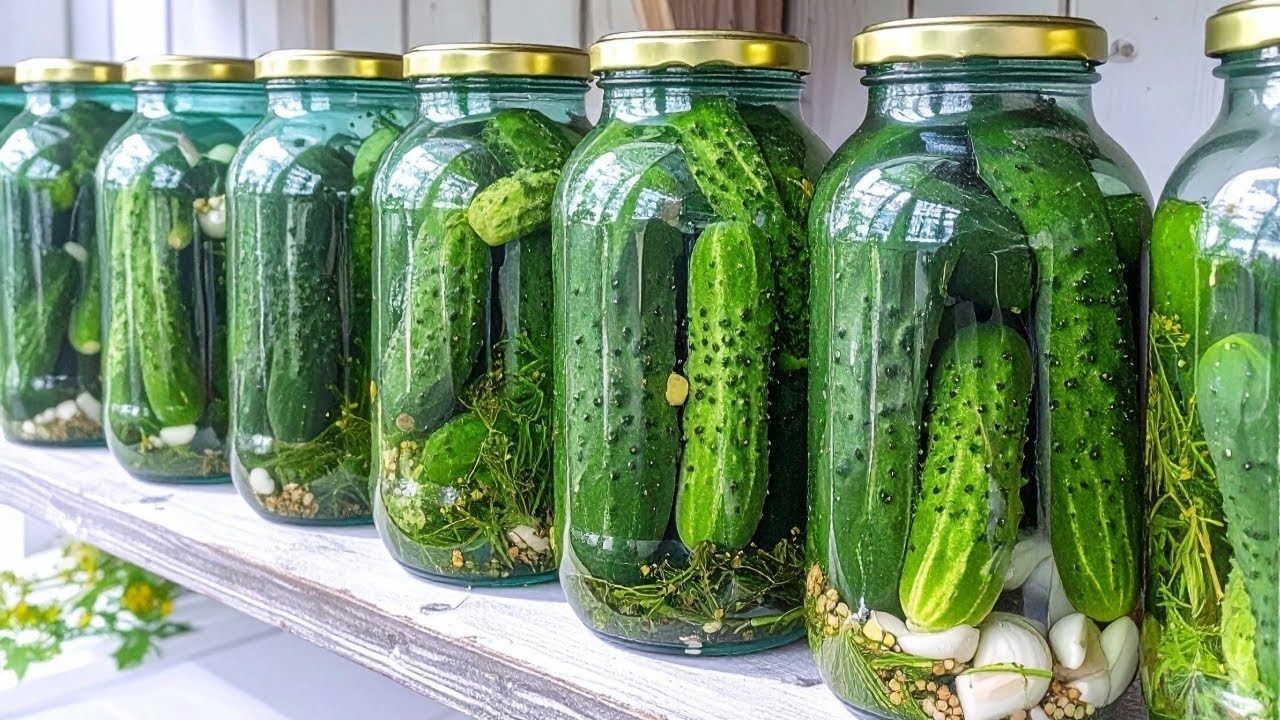 Вот как я консервирую огурцы — без кипячения и без уксуса, сохраняя при этом все полезные витамины!