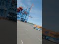Our AGVs transport containers across the terminal