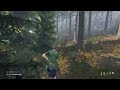 dayz