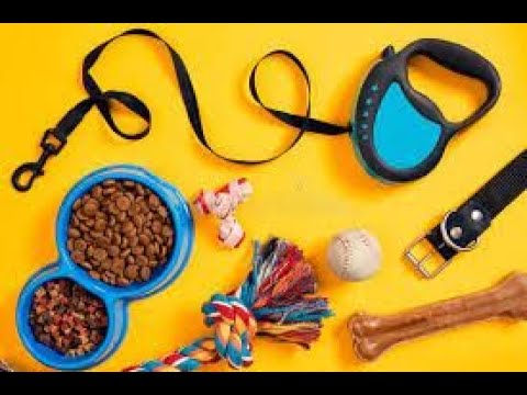 Dr. Sagir&39;s Pet Accessories ( ডাঃ সাগীর&39;স পেট একসেসোরিজ), ঢাকা II 01912251312