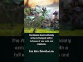 Showcasing the Stunning New Weaver Courts Models for Conquest - SkirmishGames.com