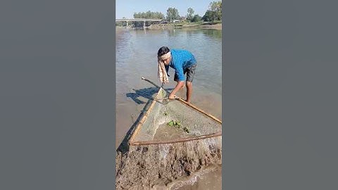 Amazing Net Fishing Challenge | Giant Fish Catch #vairalreels #fishing #shorts 🐟