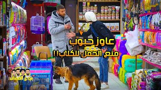 مقلب عاوز حبوب منع الحمل للكلاب - prank show