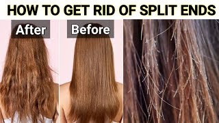 How To Get Rid Of Split Ends | Split Ends Treatment At Home