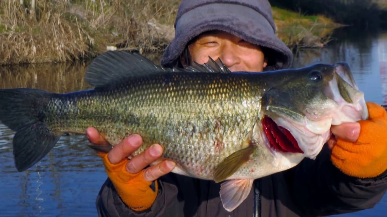 50UP】北関東河川バス釣り '17.03.25【Bass Fishing】 - YouTube