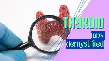 Demystifying Thyroid Lab Testing: Understanding Your Results