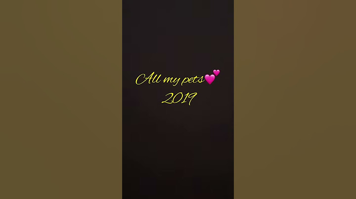 All my pets (2019)