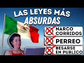 LEYES ABSURDAS DE MÉXICO QUE TODAVIA NO CONOCES | Brasileña Reacciona a leyes locas de México |
