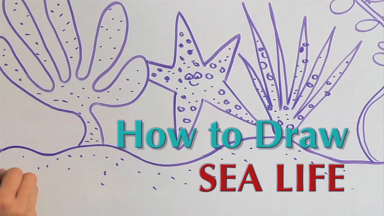 How To Draw Sea Life Great Artist Mom Guided Drawing Youtube