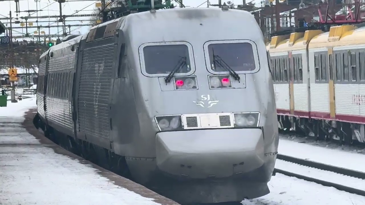 Promenad & Bus Rides & Promenad & Train Ride & Promenad.M.M.2026.02.24.