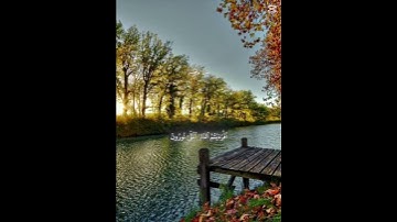 ‏سورة الواقعة ياسر الدوسري الشيخ #المصحف