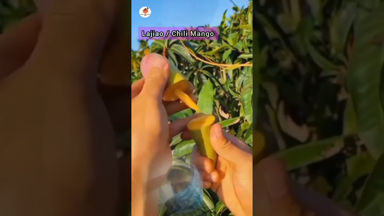 #shortsviral #see #shortsviral #viral #shortviral