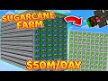 This Sugarcane Farm Makes 50M/Day on Complex Survival