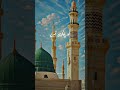 سرکار دو عالم ﷺ کا فرمان اور 6 قیمتی نصیحتیں 6 Advice From Prophet Muhammad ﷺ Hadees Nabvi
