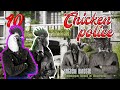 Chicken police 🔟 [читаем вместе]