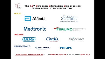 European Bifurcation Club 2019 - Medtronic Symposium, Parallel Session Summary & Consensus Session