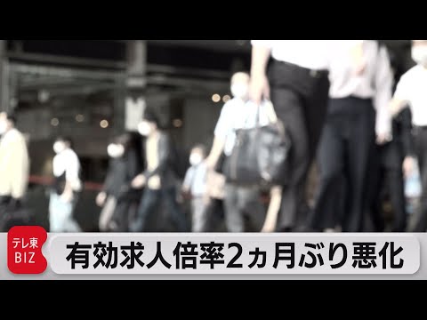 有効求人倍率・完全失業率が共に悪化（2021年5月28日）