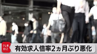 有効求人倍率・完全失業率が共に悪化（2021年5月28日）