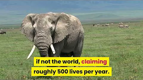 10 Tips On How To Survive Wild Animal Attacks