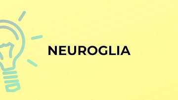 What is the meaning of the word NEUROGLIA?