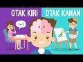 Apa Perbedaan Otak Kanan Dan Otak Kiri