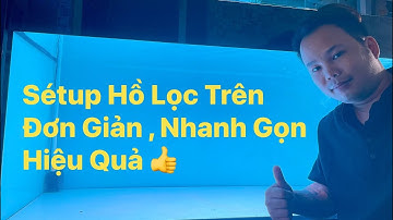 Setup Hồ Lọc Tràn Trên Cho Cá Rồng | Đơn Giản | Nhanh Gọn | Hiệu Quả Cao 👍