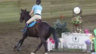 Gemma & Jake: 1.00m Clear Round & Jump Off Division Champion