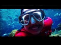 Renang Bareng Ikan di Umbul Ponggok!