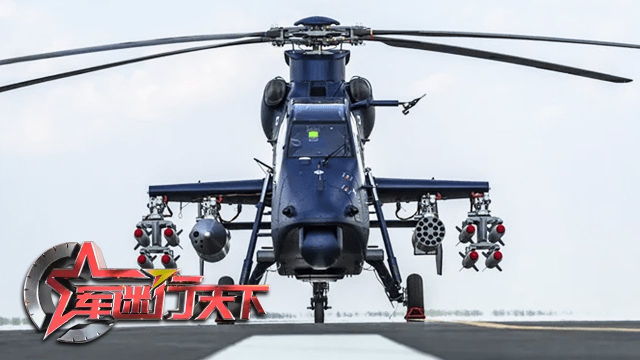 这次的视角不一样！直-19首次展示“武器库” 近距离看“黑旋风”挂弹细节
