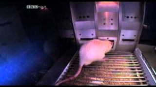 Time Perception - BBC Documentary (Clip)