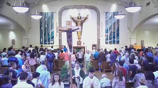 16th Sunday in Ordinary Time - 7-19-2026