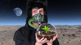 How many plants do you need to breathe?  TESTED