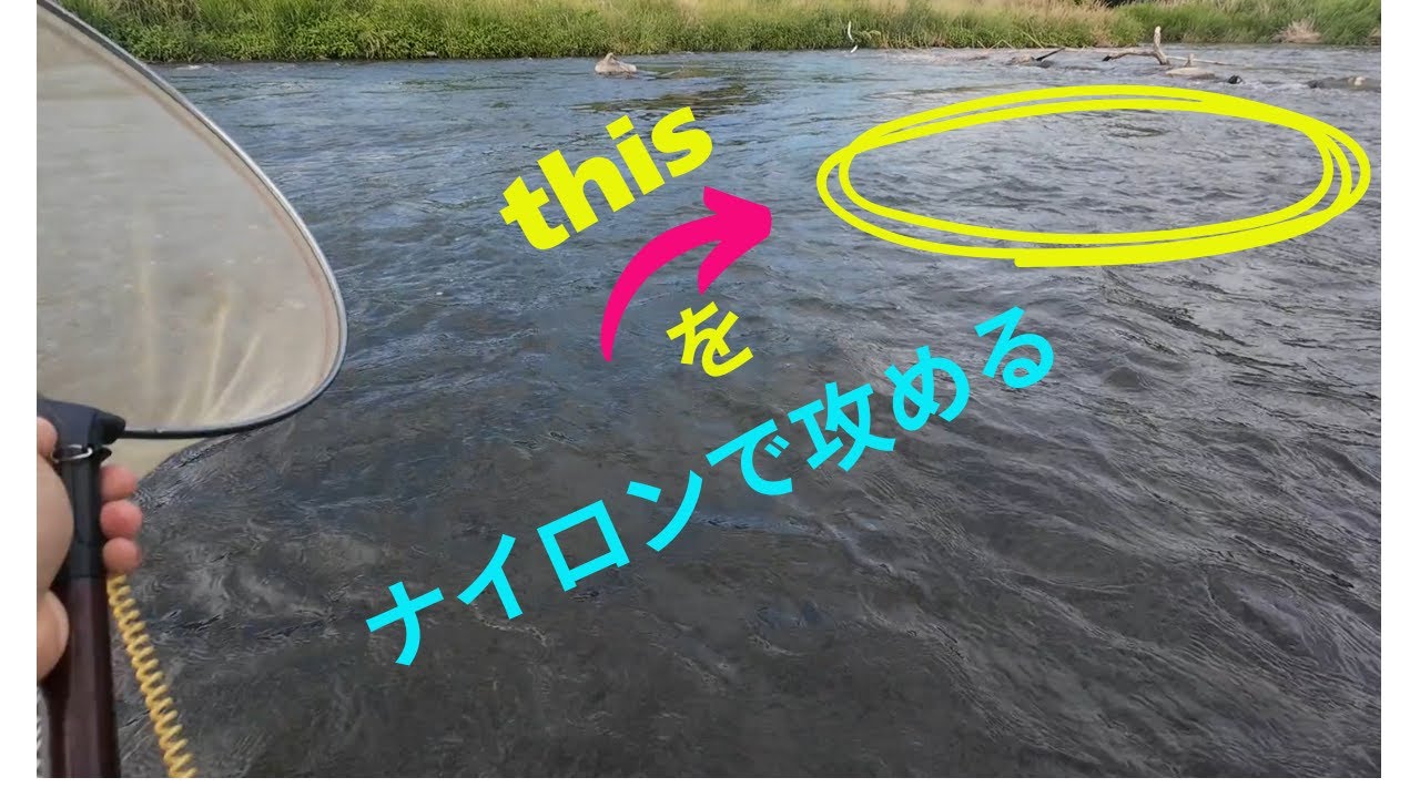 2025年シマノジャパンカップ鮎　相模川予選　初参戦の結果やいかに