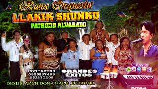 Video thumbnail of "Patricio Alvarado Runa Orquesta Llakik Shunku Priscila (Audio Oficial)"