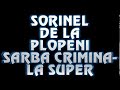 SORINEL DE LA PLOPENI    SARBA CRIMINALA SUPER CHEF SI VOIE BUNA