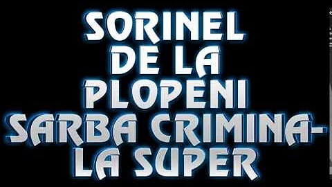 SORINEL DE LA PLOPENI    SARBA CRIMINALA SUPER CHEF SI VOIE BUNA