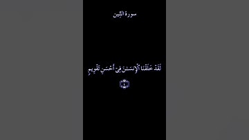 سورة التين بصوت الشيخ : ماهر المعيقلي