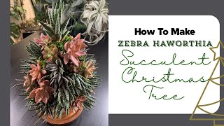 DIY Haworthia Succulent Living 🎄Christmas tree | A Girl With A Garden