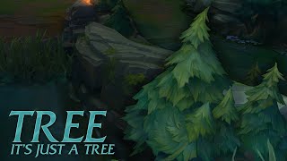 Tree Champion Spotlight