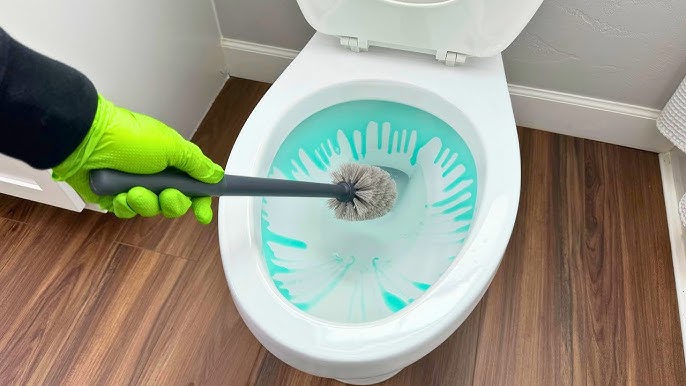 Put THIS in your TOILET & WATCH WHAT HAPPENS! ⚡ 